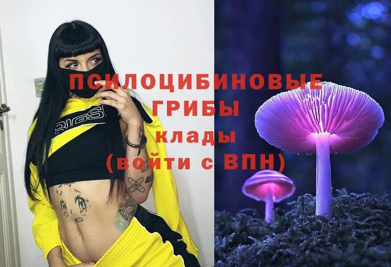 цены   Касимов  Галлюциногенные грибы Psilocybe 